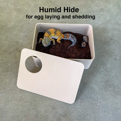 Charcoal Black 3-in-1 Leopard Gecko Kit