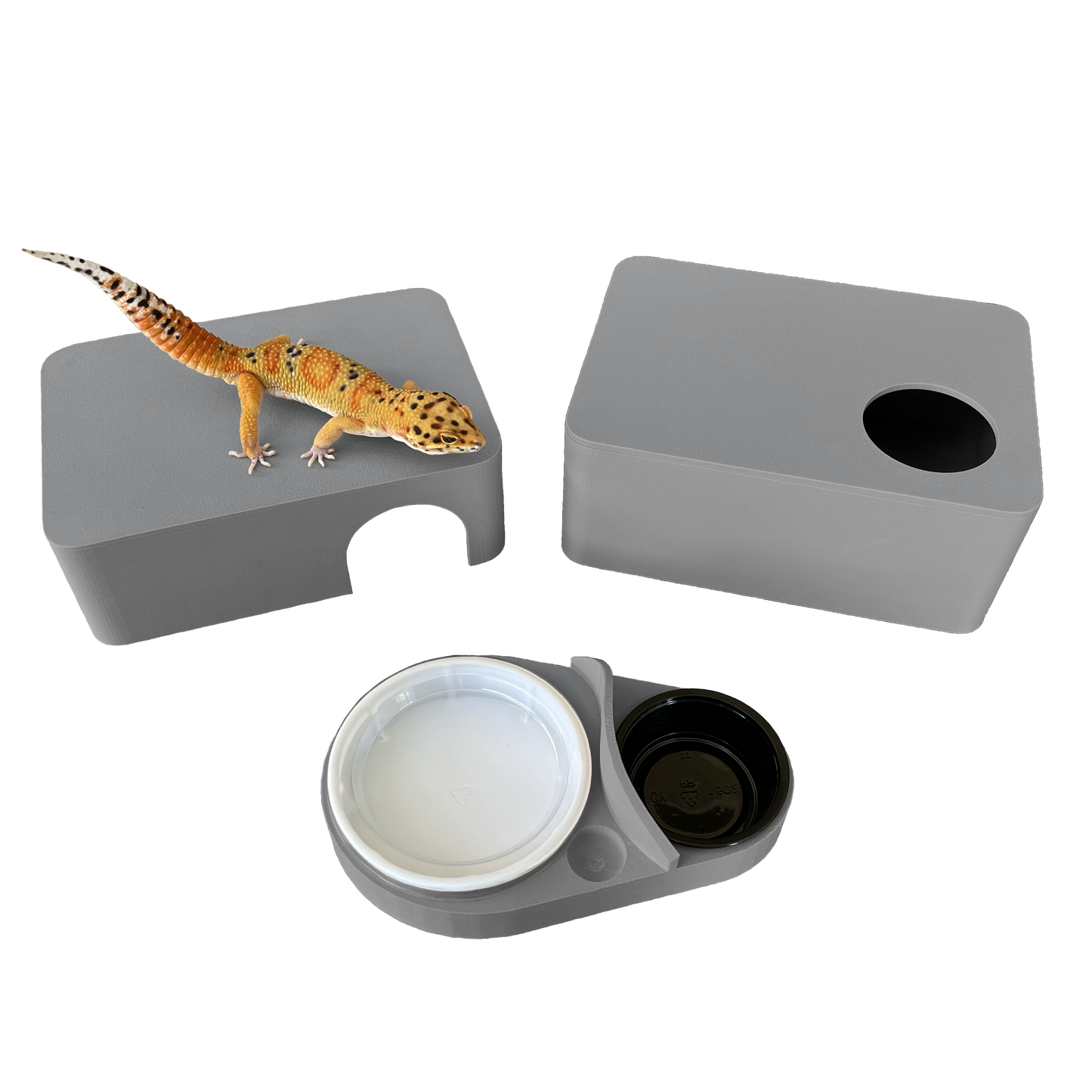 Slate Grey 3-in-1 Leopard Gecko Kit