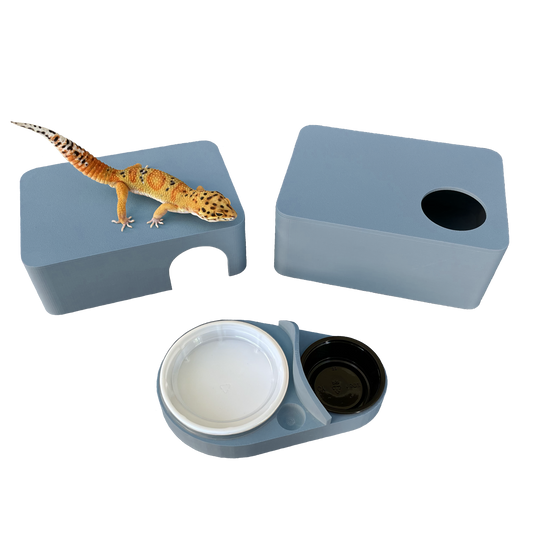 Sand Blue 3-in-1 Leopard Gecko Kit