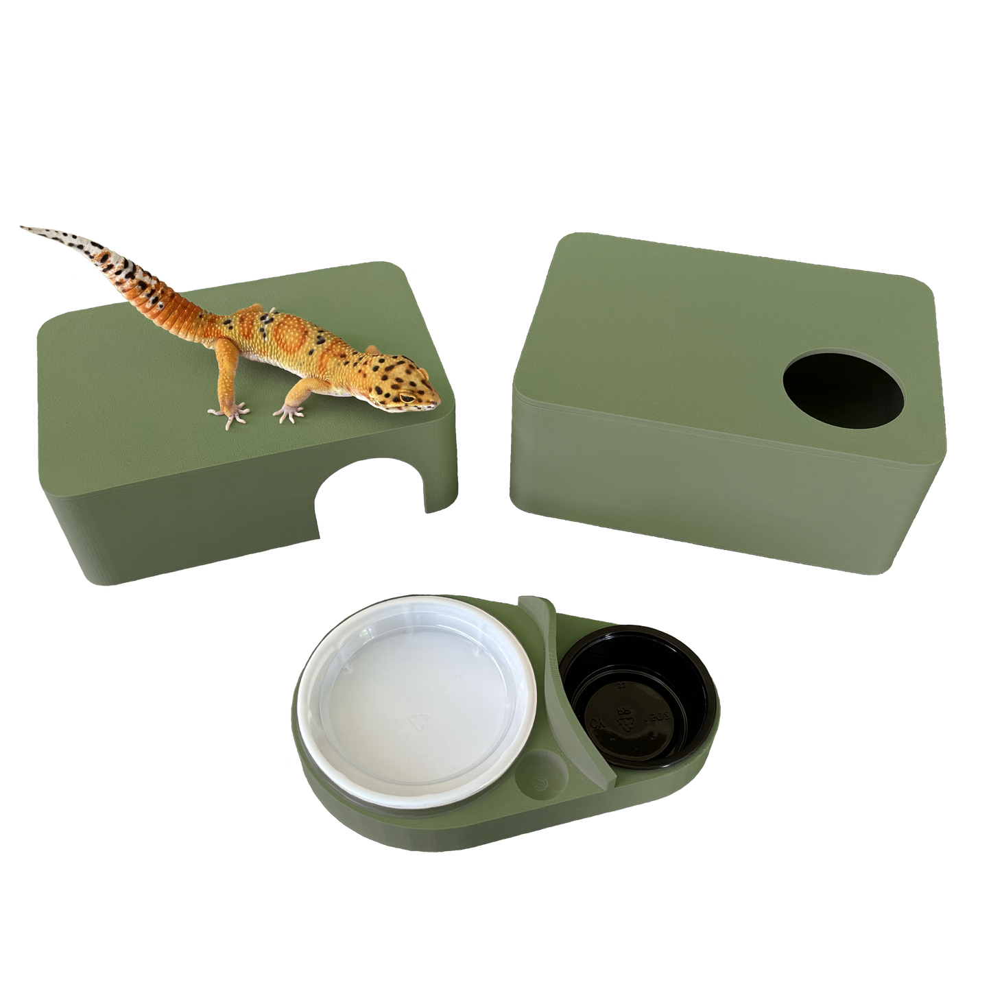 Olive Green 3-in-1 Leopard Gecko Kit