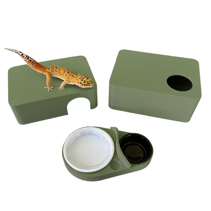 Olive Green 3-in-1 Leopard Gecko Kit