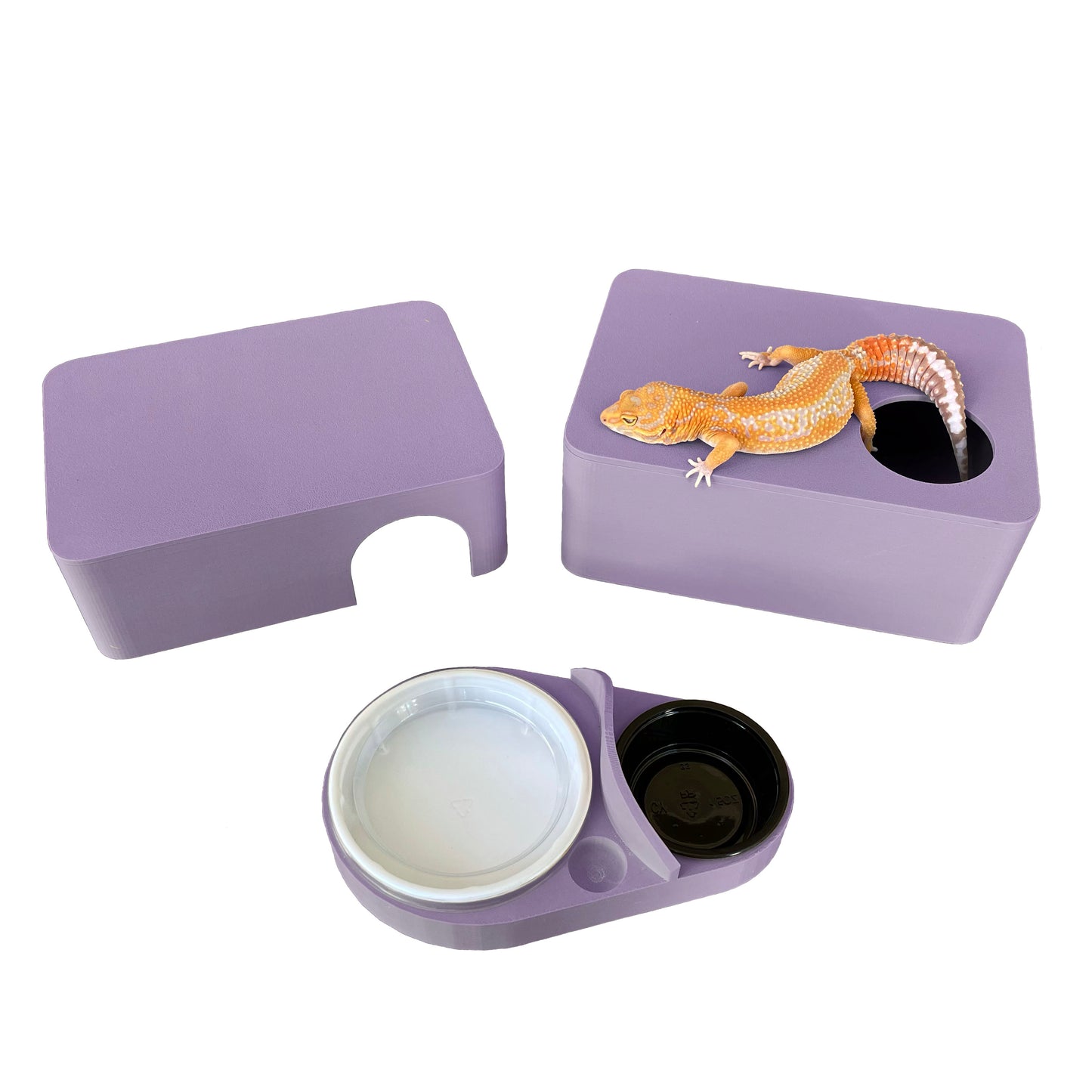 Mystic Purple 3-in-1 Leopard Gecko Kit