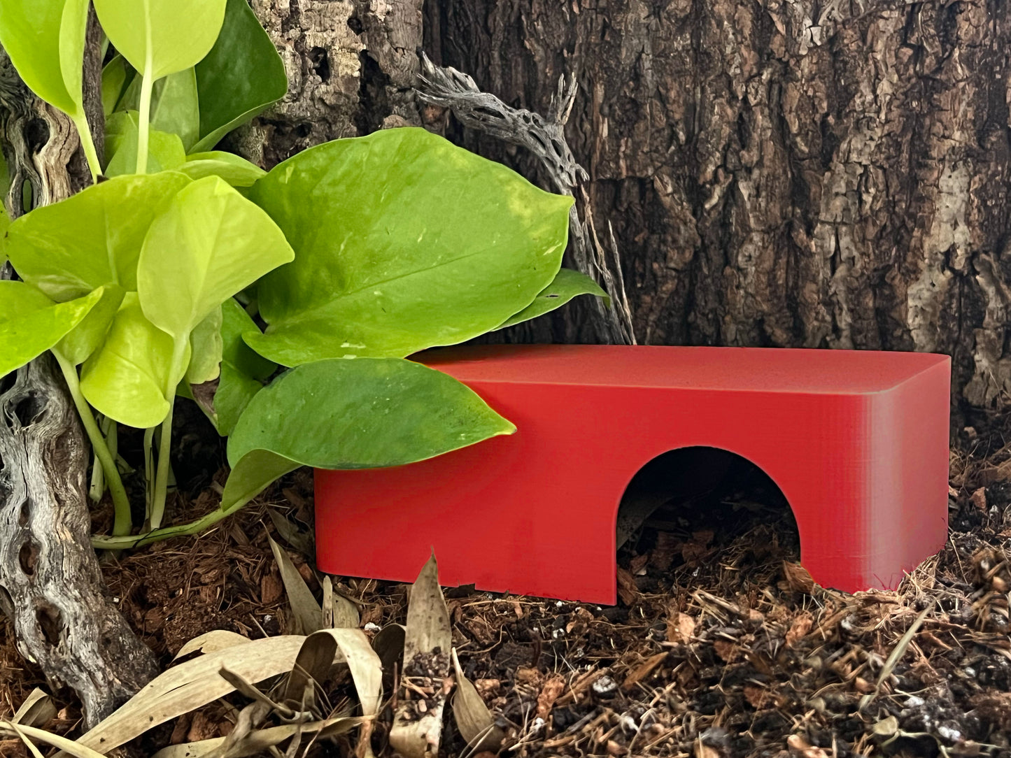 Lobster Red 3-in-1 Leopard Gecko Kit